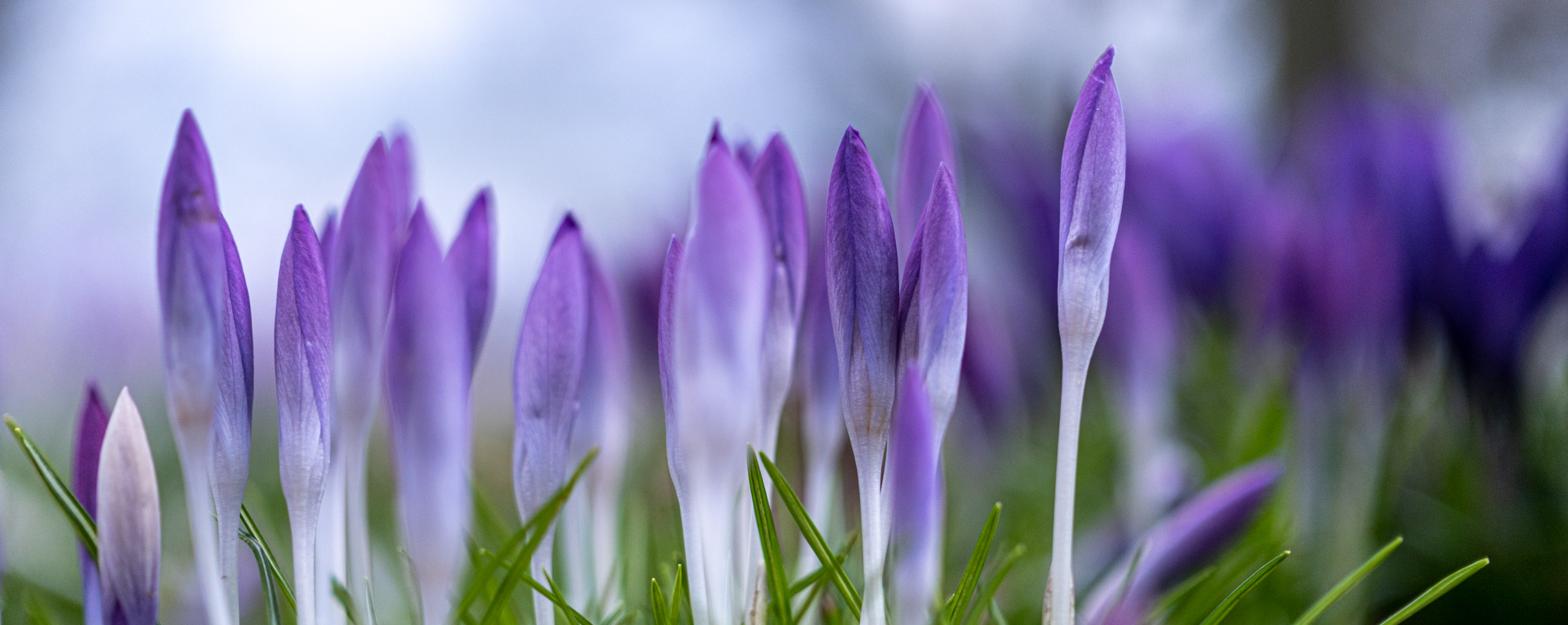 2023 02 25  xt 5   9232